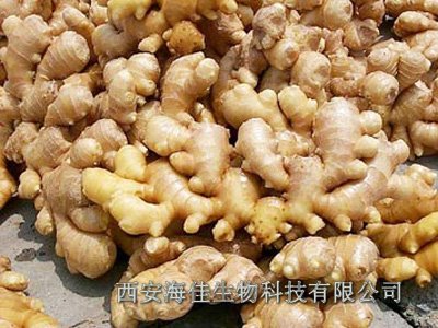 生姜提取物(植物提取物)西安海佳生物