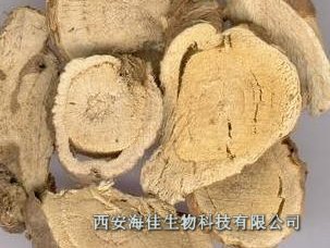 10：1苦参提取物|杀虫利尿，外用可治湿热所致带下证及某些皮肤病