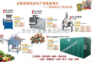 果蔬糕生产线 果蔬加工设备