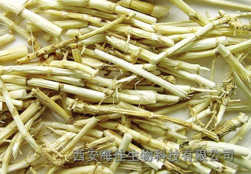 芦根提取物(植物提取物)西安海佳生物