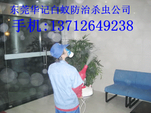 东莞塘厦杀虫公司,塘厦杀虫公司0769-82064096