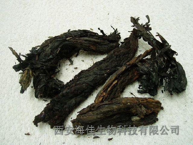 【陕西西安】紫草提取物(西安海佳生物供应)