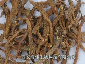 供应柴胡提取物【西安柴胡提取物】西安海佳生物