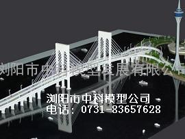 斜拉桥模型