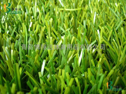 人造草坪、人工草坪 - 青岛博翔远体育用品有限公司