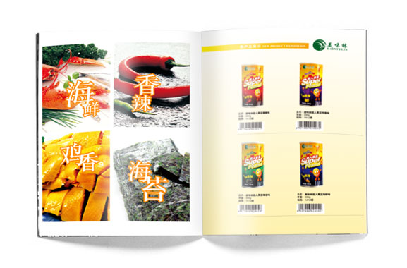 广州市画册设计，广州画册创意设计, 广州宣传画册设计公司