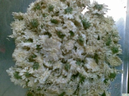 供应【菊花提取物】西安菊花提取物