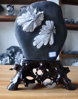 湖南菊花石--奇石宝石-工艺品-观赏石-收藏品-两朵花原石