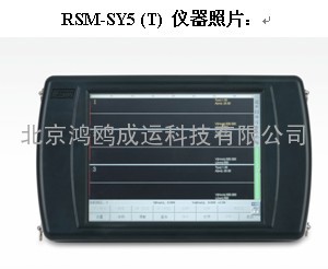 RSM-SY5(T)基桩超声波检测仪 非金属声波测试仪 基桩超声检测仪