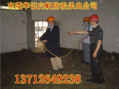 东莞大朗杀虫公司,大朗杀虫公司,大朗除四害公司,大朗岗镇灭鼠