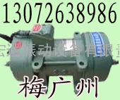 ZW附着式混凝土振动器ZW-3ZW-3.5ZW-5ZW-7ZW-10 购机热线：1307263898