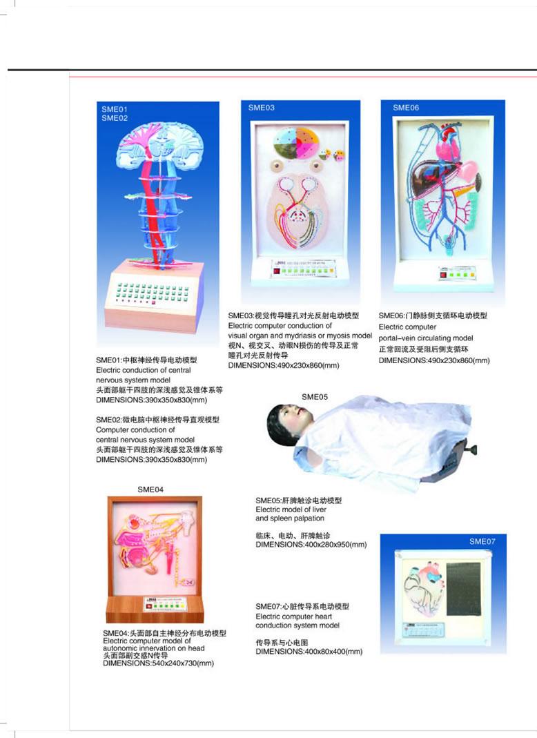 电动医学教学模型【上海广育】