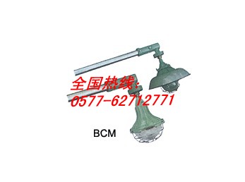 防爆马路灯|BCM防爆马路灯|新黎明防爆马路灯