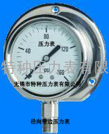 径向带边耐震压力表YN-50TQ/YN60TQ/YN75TQ/YN100TQ/YN150TQ	