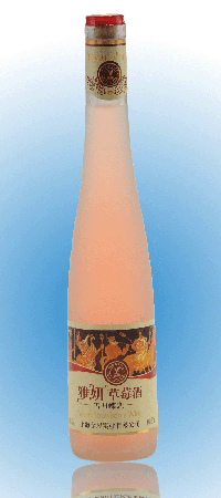 草莓酒韩国瓶果酒