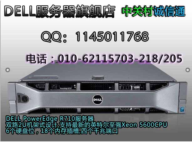 DELL服务器R710至强5620 戴尔R710/至强5620/2G/146G×2/RAID1