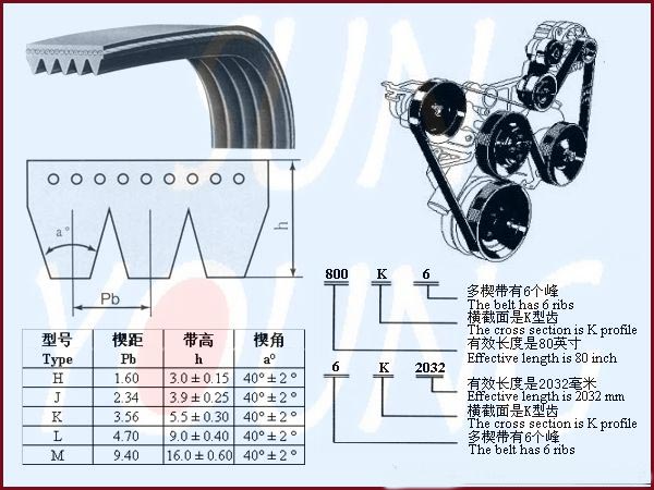 汽车用多槽皮带PK/RMA