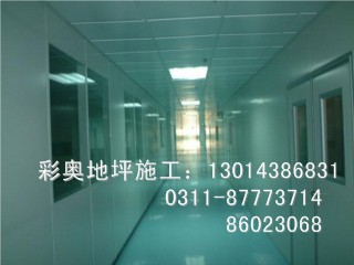 衡水环氧树脂地坪漆施工彩奥建材长期承接