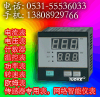 DH-T48P,DH-T72P,DH-T94P,DH-T96P数码温控仪 山东托克