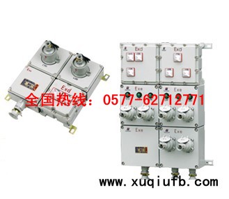 BXS系列防爆检修电源插座箱（IIB、IIC）