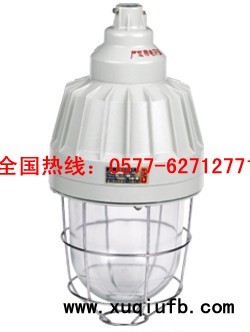 CCd-250系列隔爆型防爆灯（IIC）