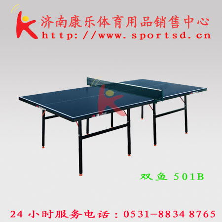 济南双鱼乒乓球台 ，乒乓球桌，体育用品，健身器材，0531-88348765