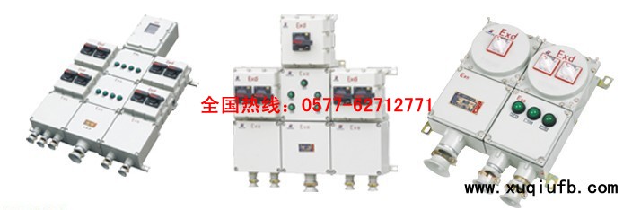 BXX系列防爆动力检修箱（IIB、IIC）