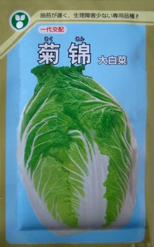 菊锦大白菜种子