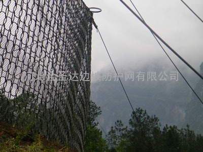 RXI系列边坡被动防护网由河北金圣达独家赞助