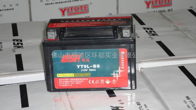 铅酸蓄电池YT9