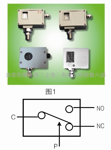 浙江地区供应SYEx防爆压力控制器