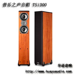 普乐之声 TSI300 Polkaudio音箱