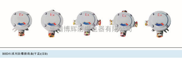 BHD51系列接线盒(平盖)