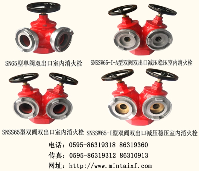 室内双阀双出品消火栓