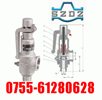 A28H、A28Y弹簧全启动式安全阀-东泽阀门品牌