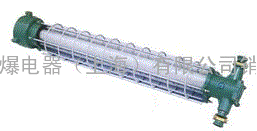 温州供应DGS20/127Y|矿用防爆荧光灯|隔爆荧光灯｜矿用荧光灯