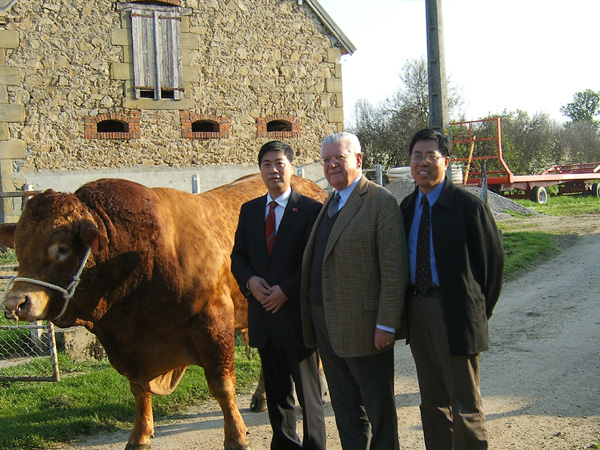 肉牛养殖可行性报告 养牛可行性分析-山东农大牧业肉牛养殖场 