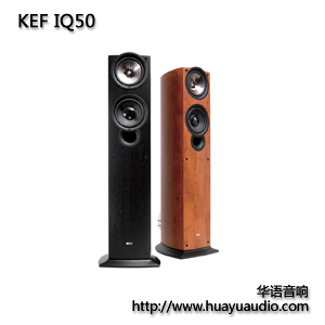 KEF IQ50 KEF音箱