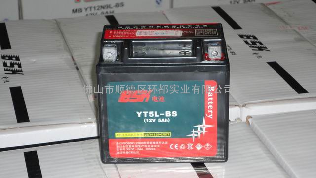 铅酸蓄电池 YT5