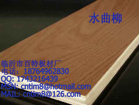 临沂百特木业提供优质水曲柳贴面板