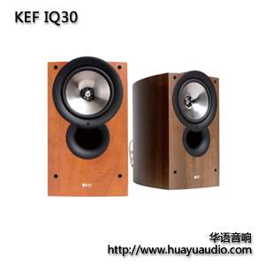 KEF IQ30 KEF音箱