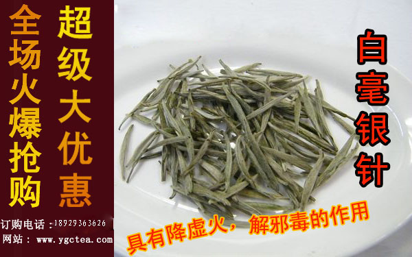 白毫银针茶批发（深圳江南春绿茶绿茶批发）