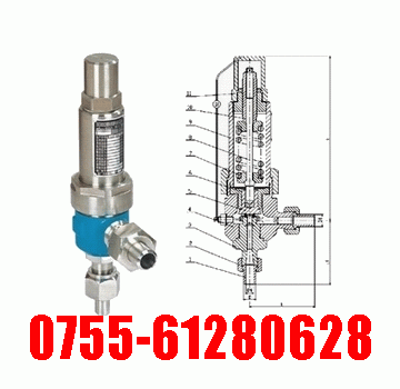 A61H、A61Y弹簧微启式安全阀-深圳东泽阀门厂