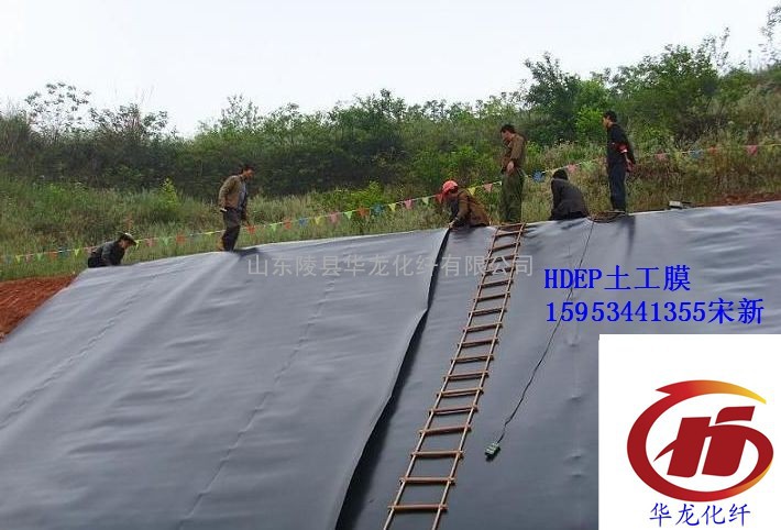 HDPE防水板生产厂家15953441355宋新