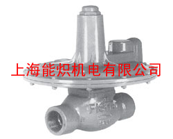 Fisher133H/Fisher133L/Fisher133