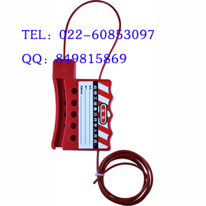 供应绝缘钢缆锁具BD-8421，贝迪缆式锁具，门阀缆式锁具
