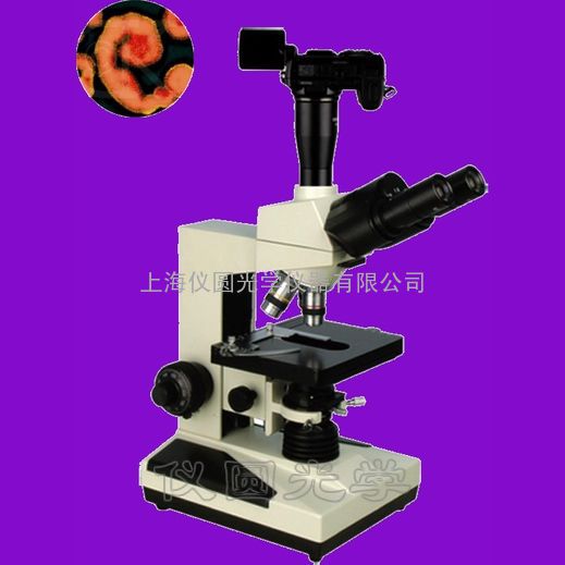 YYX-300相衬显微镜