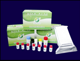 绿诗源T-2毒素酶联免疫定量检测试剂盒