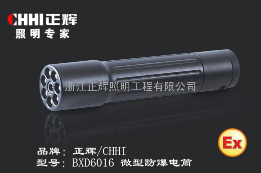 正辉/chhi 微型防爆电筒 BXD6016