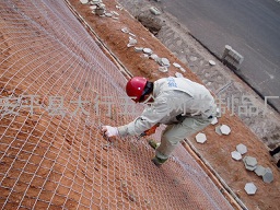 镀锌铁丝网，镀锌焊接铁丝网，绿化喷播挂网，山体护坡网